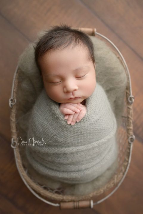 best newborn photography in dallas tx