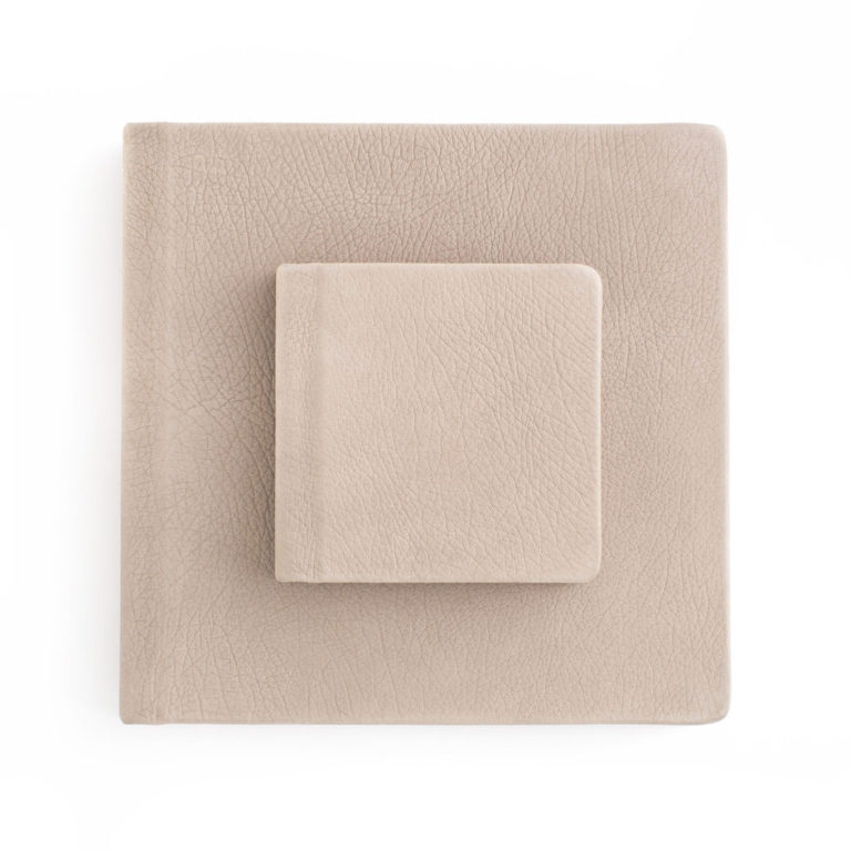 newborn photographer near me dfw