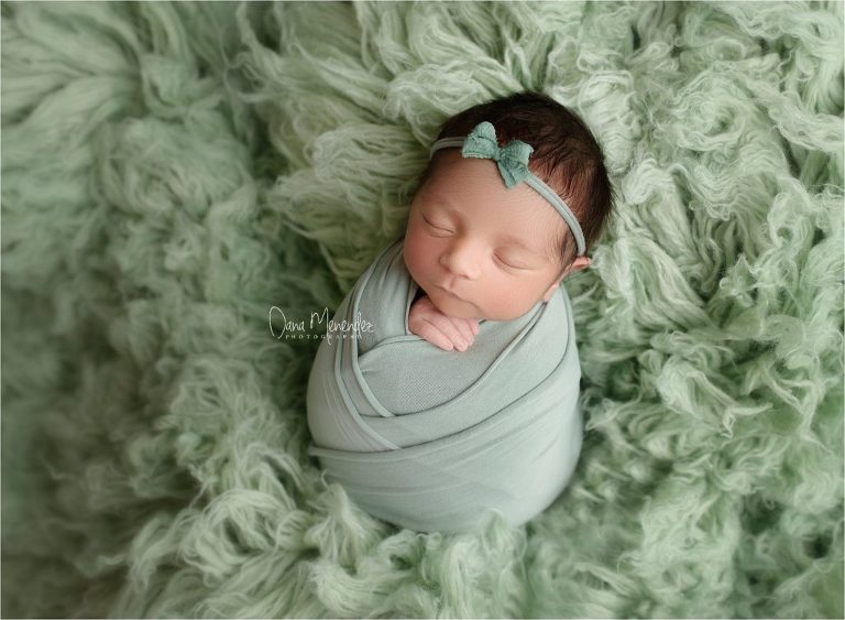 newborn photographer in dallas tx 