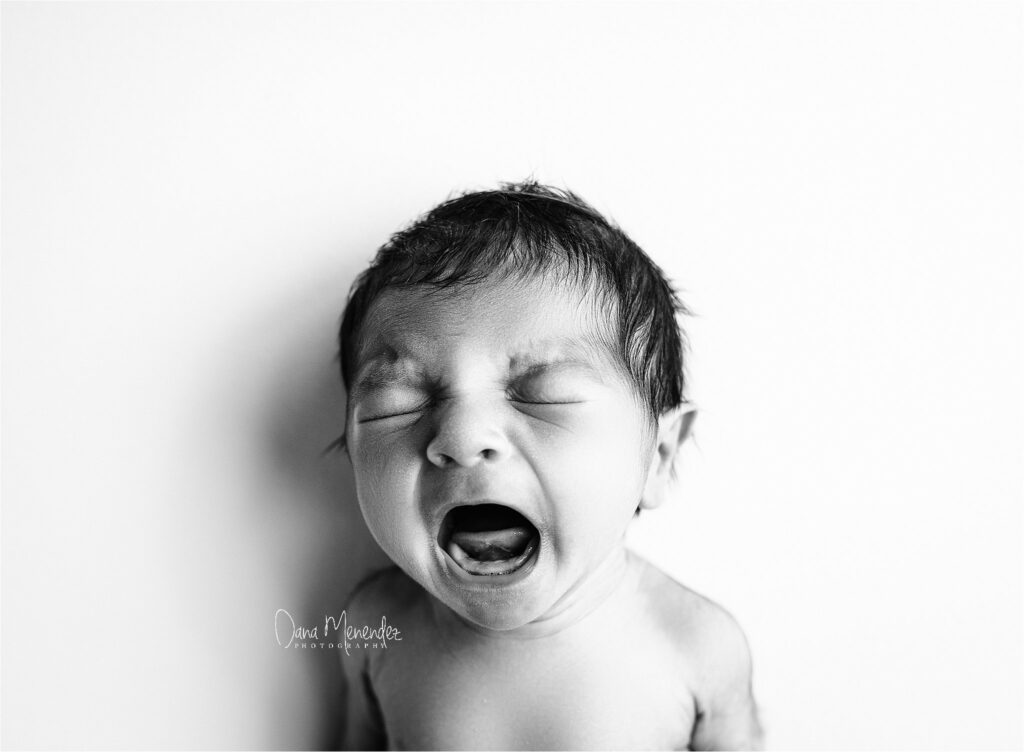 dallas newborn photographer