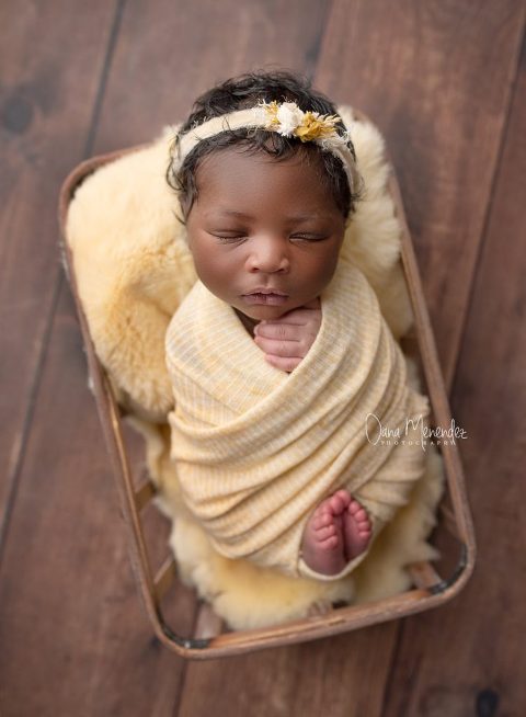 Okotoks newborn photographer