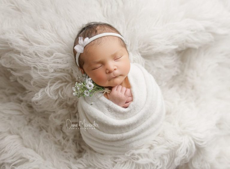 newborn photographer dallas