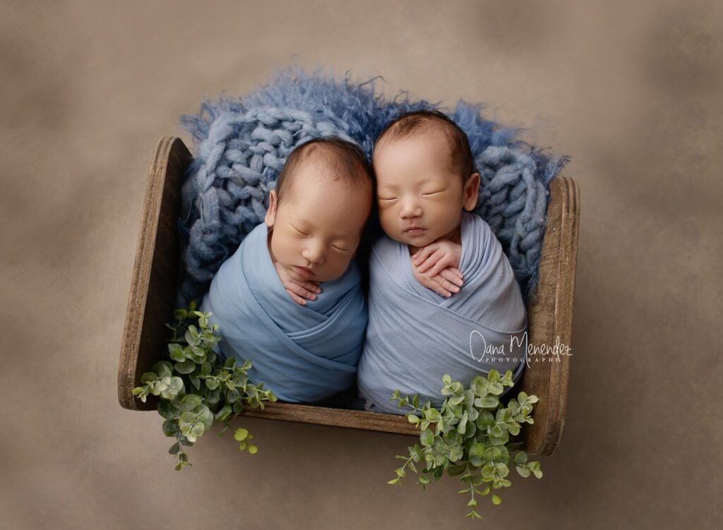 Adorable newborn twins sleeping in a wooden basket with greenery.