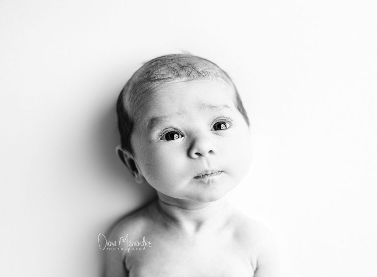best newborn photographer dallas
