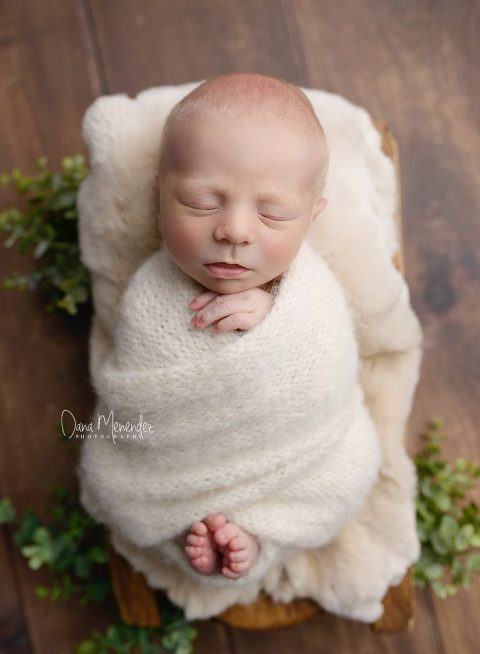 newborn photographers dallas