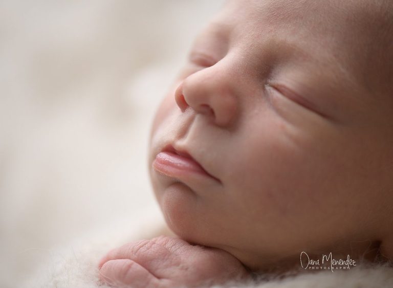 dallas newborn photographers