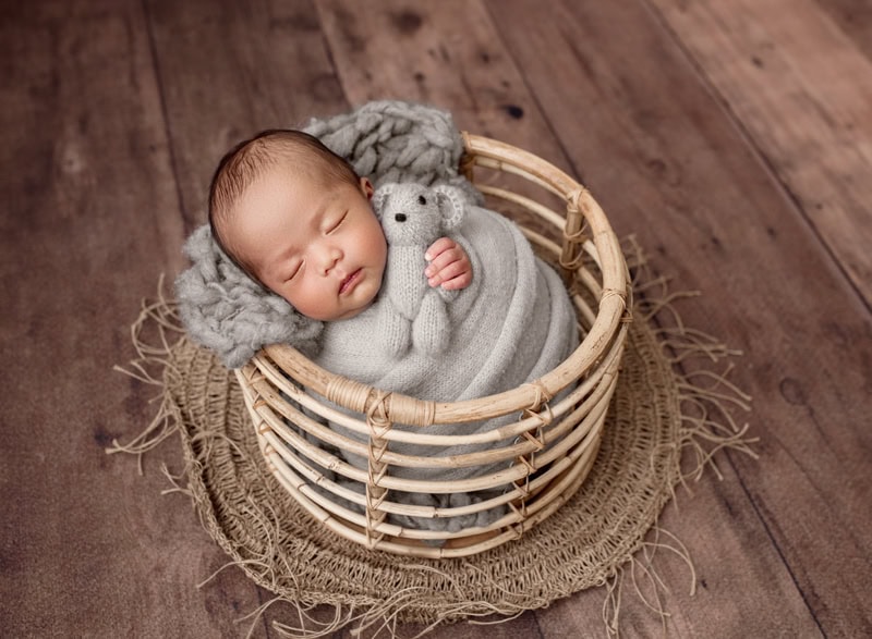 Adorable sleeping newborn in a cozy basket with plush toy and blanket.